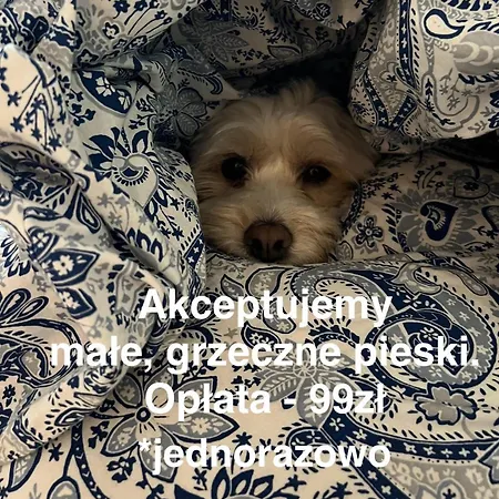Apartment North Nest Luxury